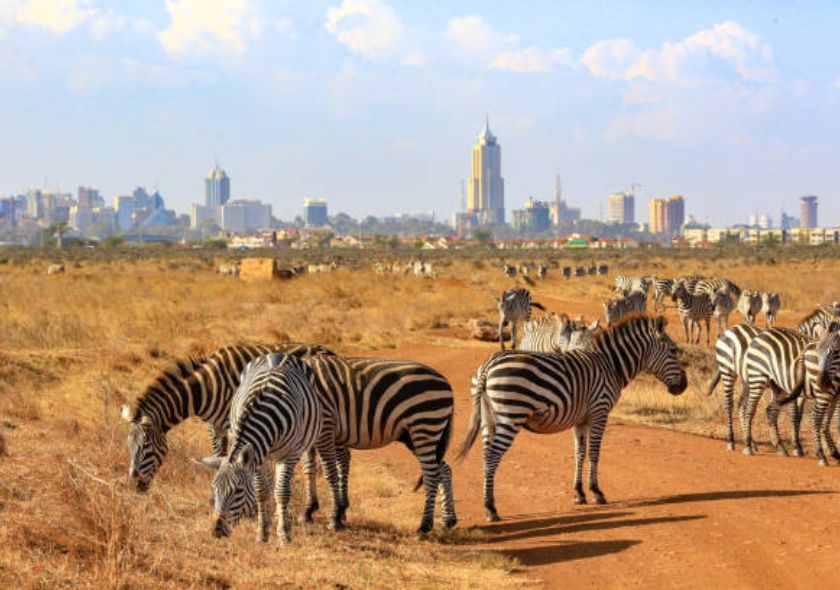 Nairobi Park