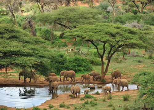 Samburu Park