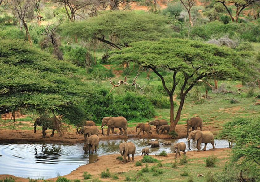 Samburu Park