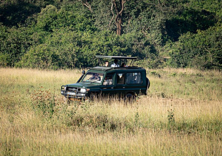 Tsavo Safari Adventure	