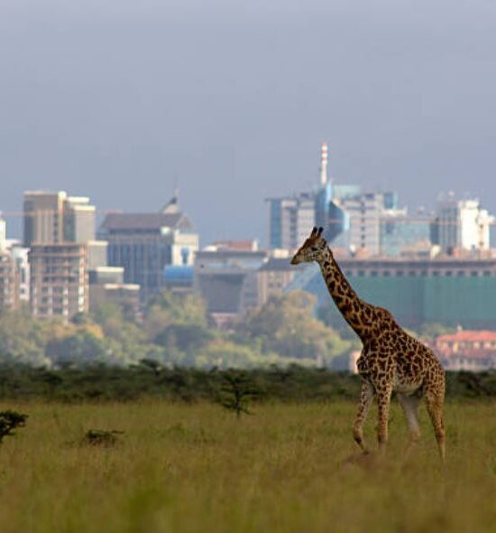 Nairobi Park